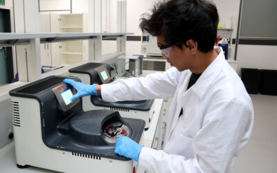 Nasce E-Cells Lab, il laboratorio congiunto tra Alma Mater, Ferrari e NXP