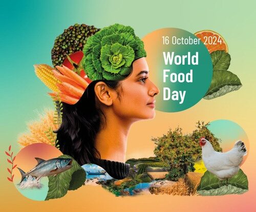 All’Università di Pavia iniziative in occasione del World Food Day, giornata mondiale dell’alimentazione