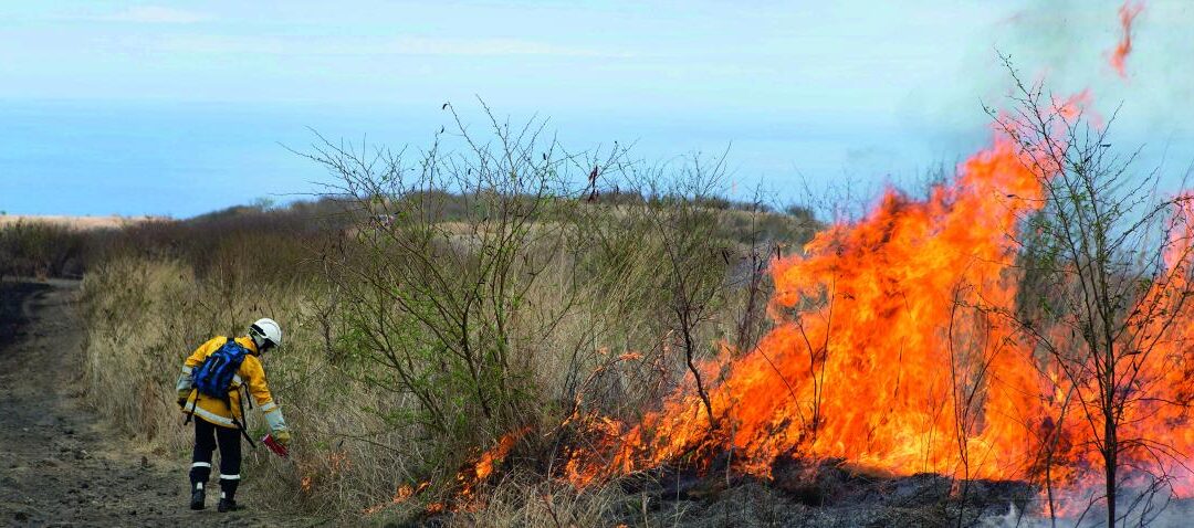 A Venezia, la presentazione del libro “Dalla parte del fuoco”